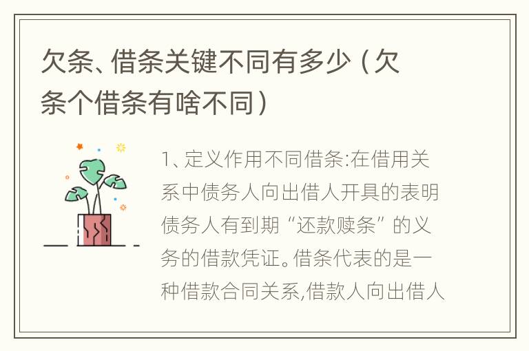 欠条、借条关键不同有多少（欠条个借条有啥不同）