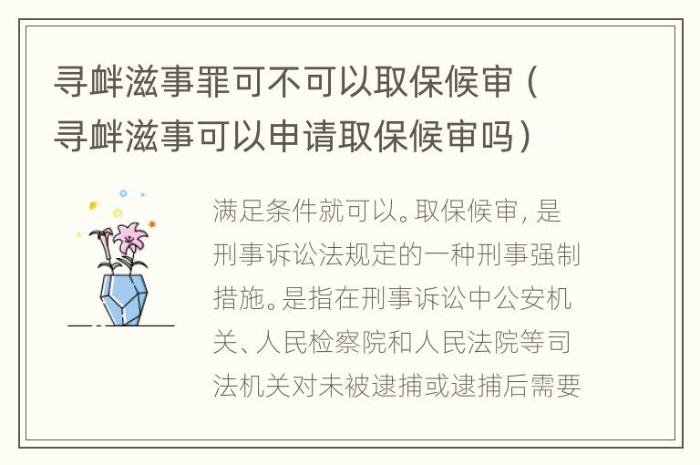 寻衅滋事罪可不可以取保候审（寻衅滋事可以申请取保候审吗）