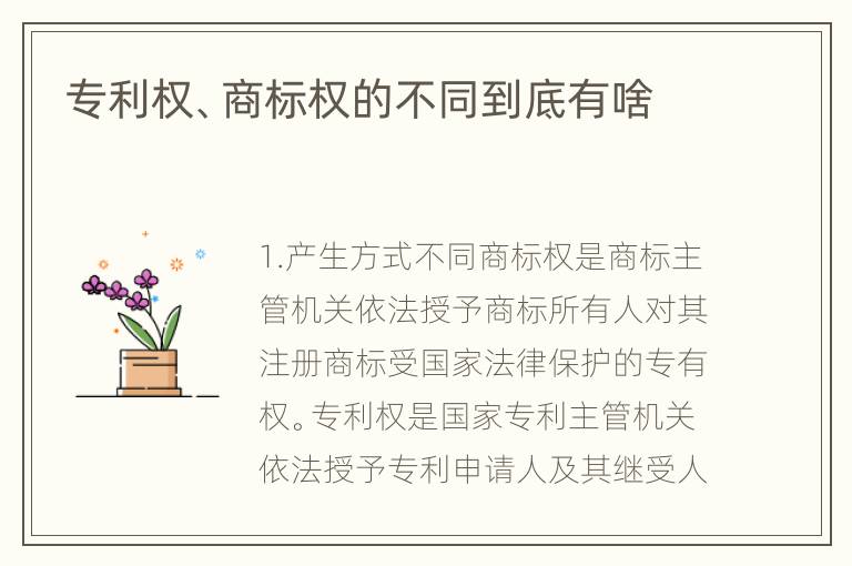 专利权、商标权的不同到底有啥