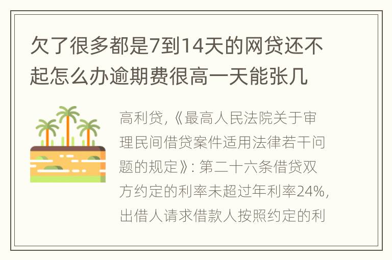 欠了很多都是7到14天的网贷还不起怎么办逾期费很高一天能张几百