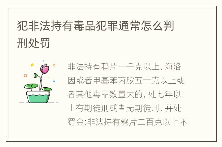 犯非法持有毒品犯罪通常怎么判刑处罚