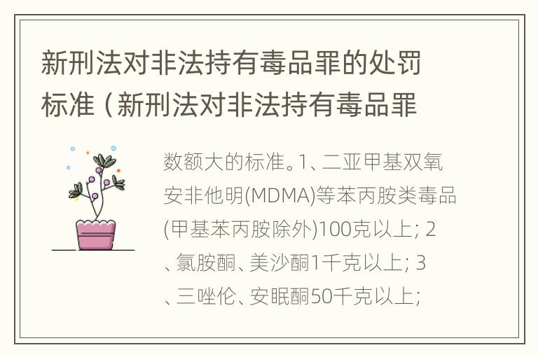 新刑法对非法持有毒品罪的处罚标准（新刑法对非法持有毒品罪的处罚标准是什么）