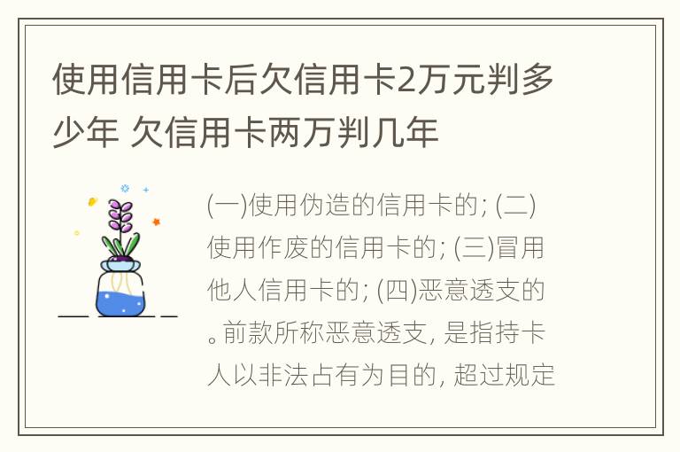 使用信用卡后欠信用卡2万元判多少年 欠信用卡两万判几年