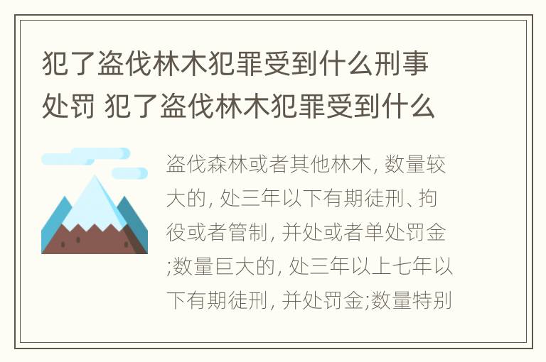 犯了盗伐林木犯罪受到什么刑事处罚 犯了盗伐林木犯罪受到什么刑事处罚呢