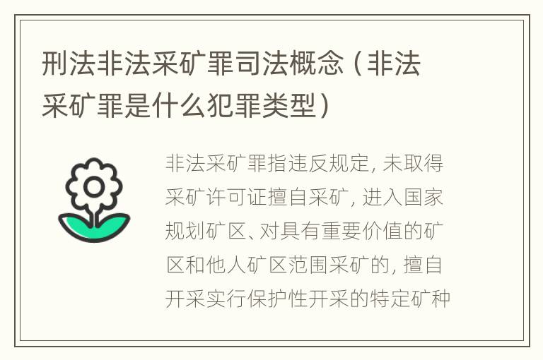 刑法非法采矿罪司法概念（非法采矿罪是什么犯罪类型）