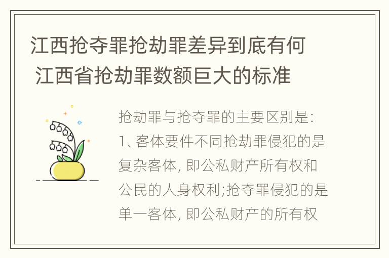 江西抢夺罪抢劫罪差异到底有何 江西省抢劫罪数额巨大的标准