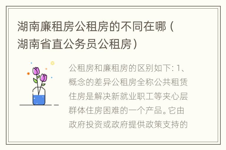 湖南廉租房公租房的不同在哪（湖南省直公务员公租房）