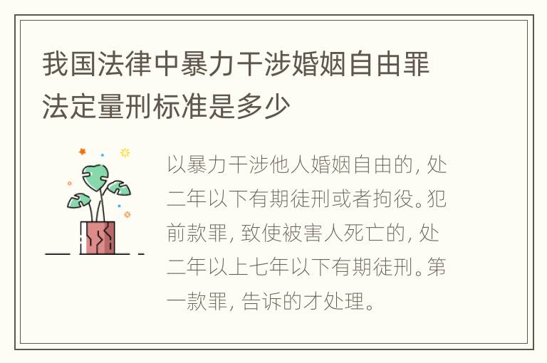 我国法律中暴力干涉婚姻自由罪法定量刑标准是多少