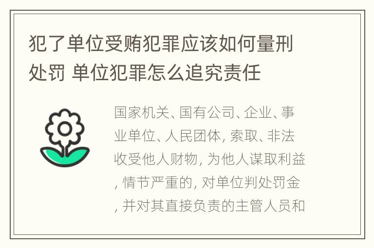 犯了单位受贿犯罪应该如何量刑处罚 单位犯罪怎么追究责任