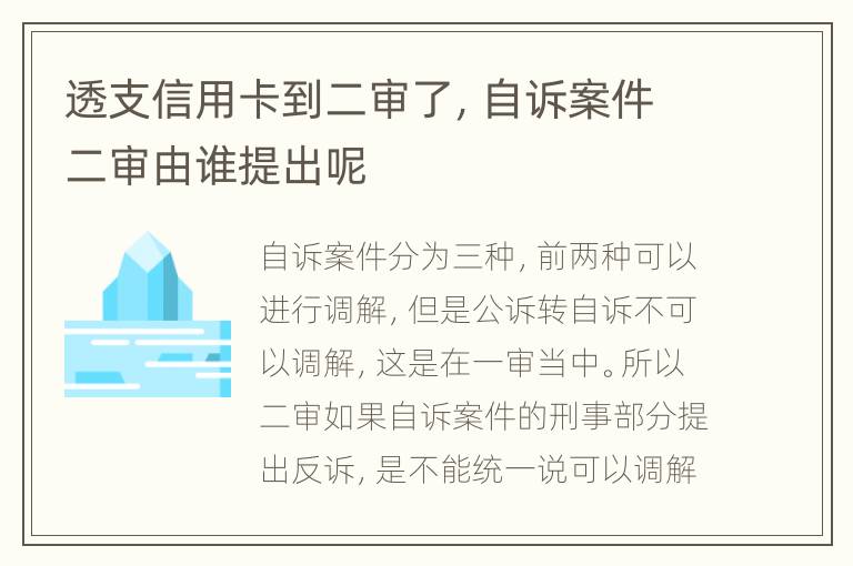 透支信用卡到二审了，自诉案件二审由谁提出呢