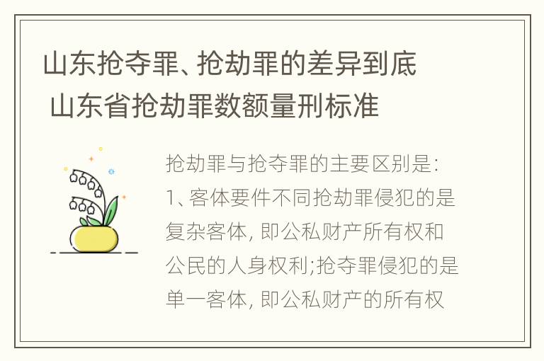 山东抢夺罪、抢劫罪的差异到底 山东省抢劫罪数额量刑标准