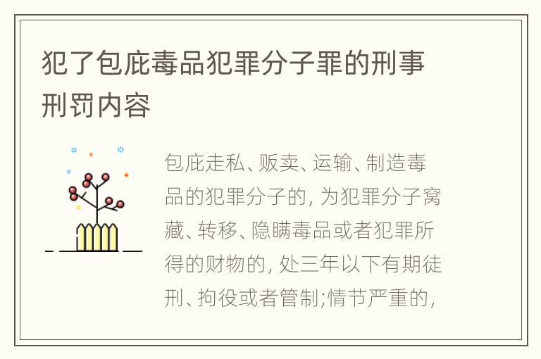 犯了包庇毒品犯罪分子罪的刑事刑罚内容