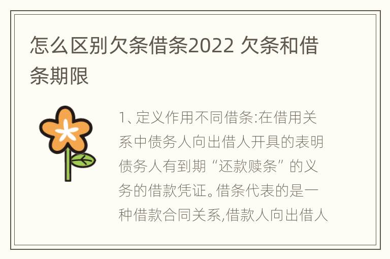 怎么区别欠条借条2022 欠条和借条期限