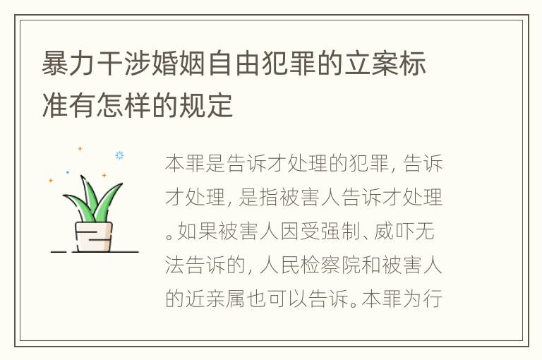 暴力干涉婚姻自由犯罪的立案标准有怎样的规定