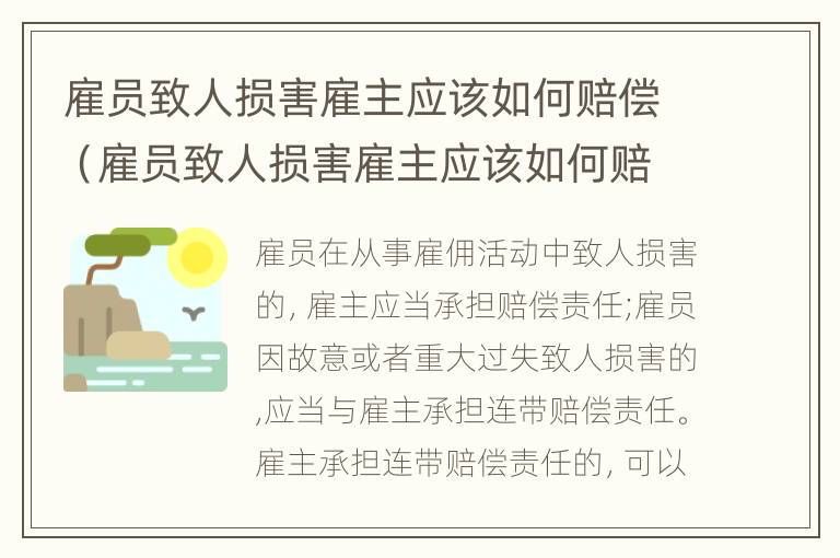 雇员致人损害雇主应该如何赔偿（雇员致人损害雇主应该如何赔偿呢）