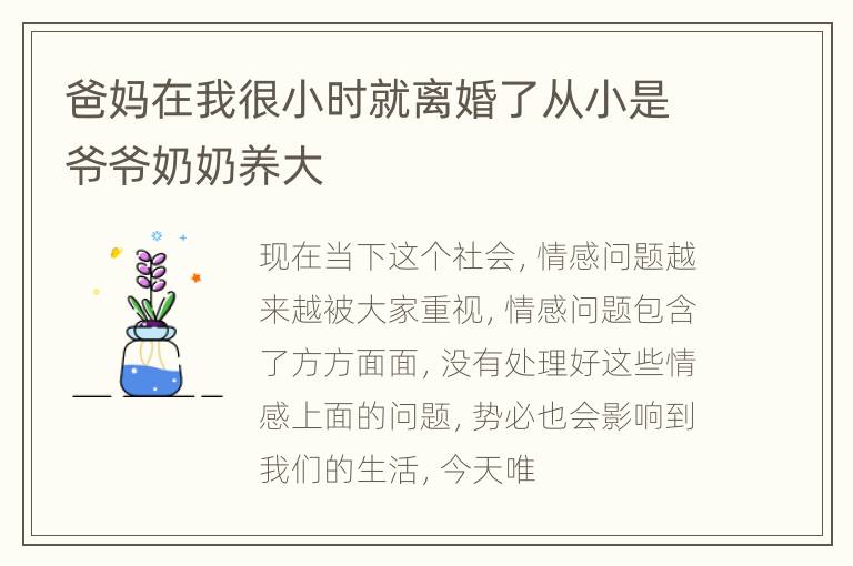 爸妈在我很小时就离婚了从小是爷爷奶奶养大