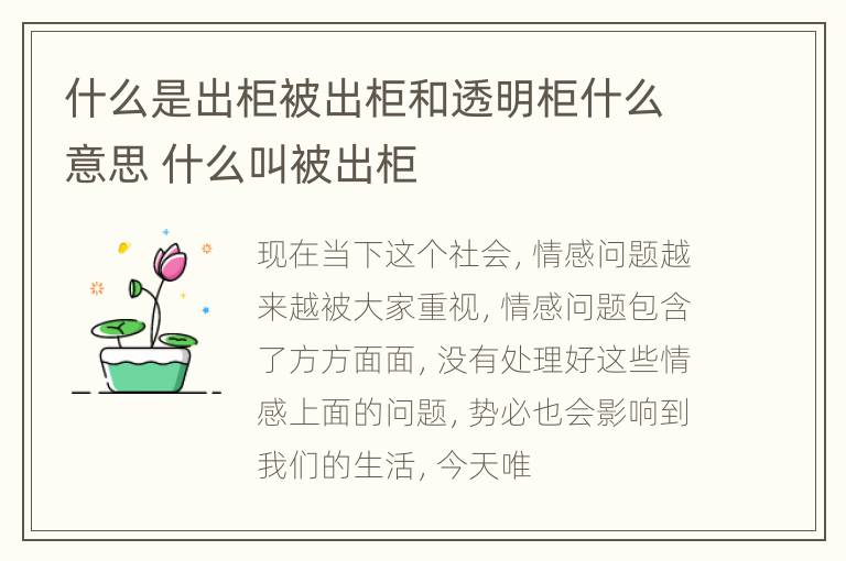 什么是出柜被出柜和透明柜什么意思 什么叫被出柜