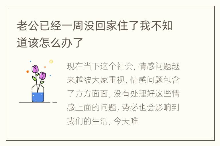 老公已经一周没回家住了我不知道该怎么办了