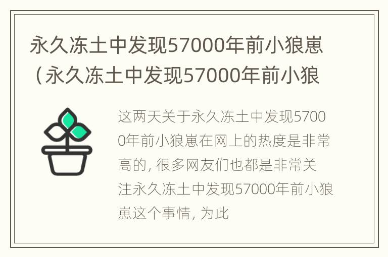 永久冻土中发现57000年前小狼崽（永久冻土中发现57000年前小狼崽是什么）