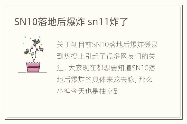 SN10落地后爆炸 sn11炸了