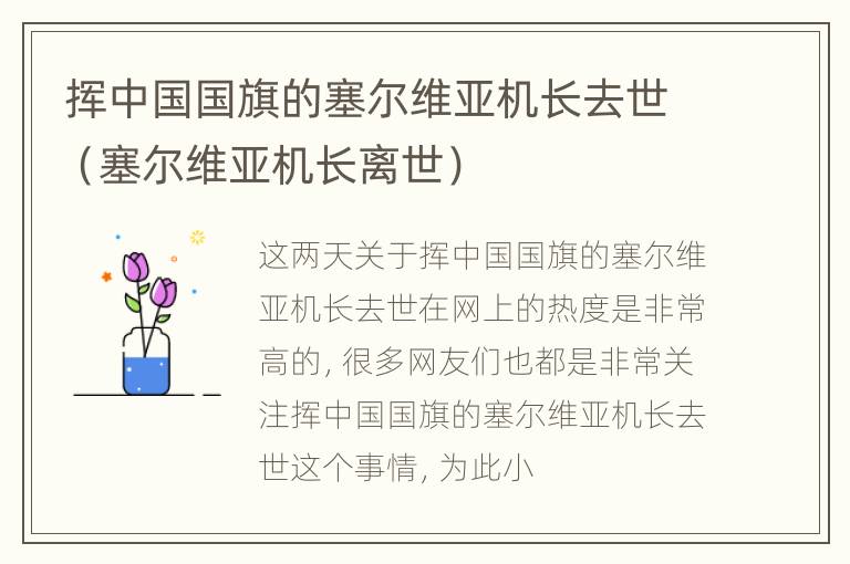 挥中国国旗的塞尔维亚机长去世（塞尔维亚机长离世）