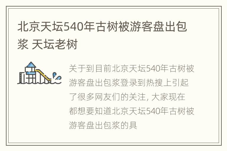 北京天坛540年古树被游客盘出包浆 天坛老树