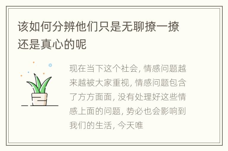 该如何分辨他们只是无聊撩一撩还是真心的呢