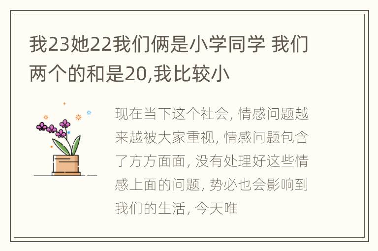 我23她22我们俩是小学同学 我们两个的和是20,我比较小