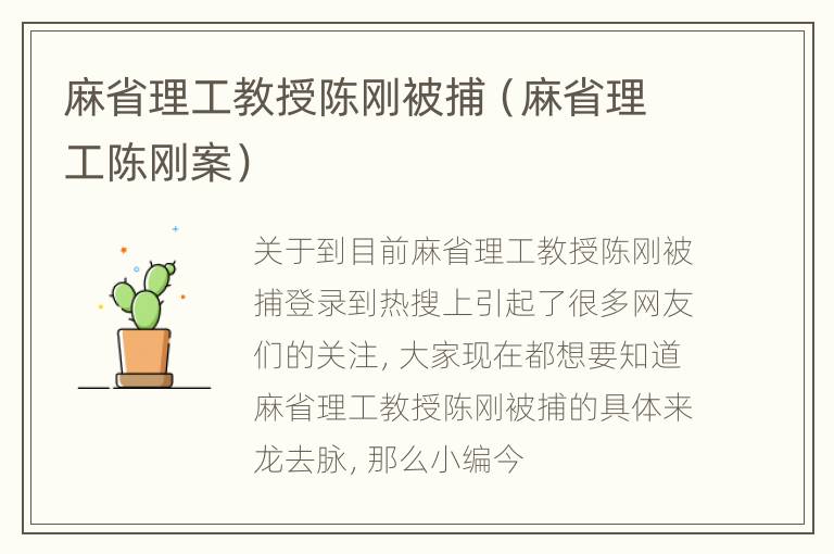 麻省理工教授陈刚被捕（麻省理工陈刚案）