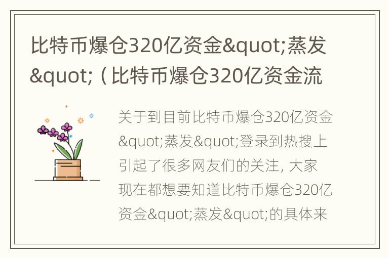 比特币爆仓320亿资金"蒸发"（比特币爆仓320亿资金流向）