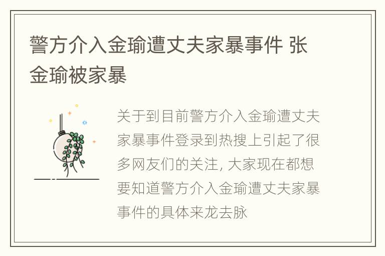 警方介入金瑜遭丈夫家暴事件 张金瑜被家暴