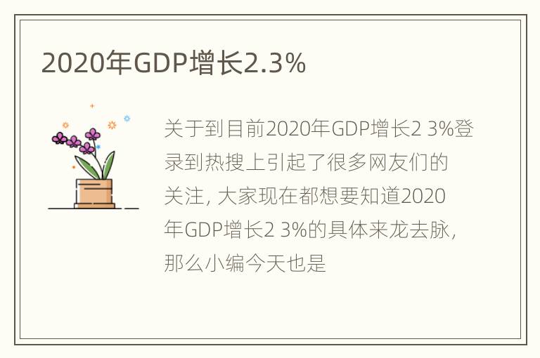 2020年GDP增长2.3%