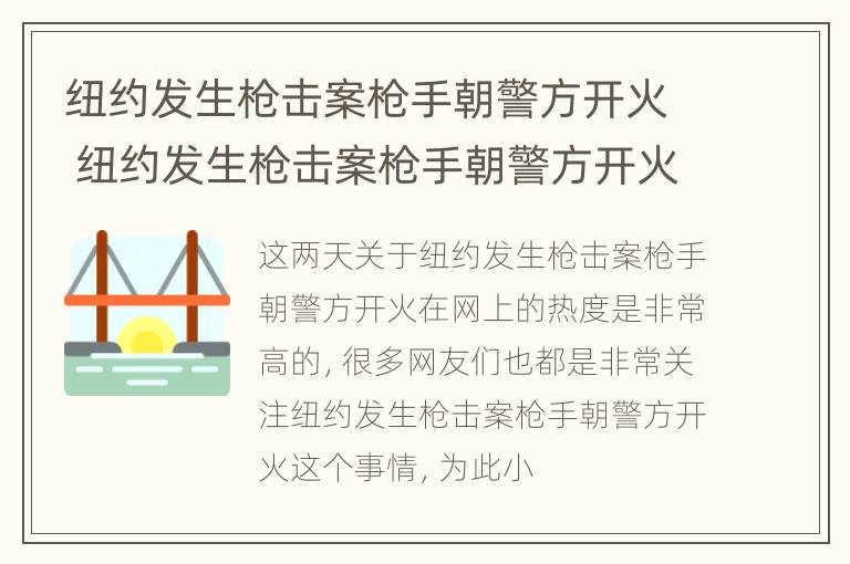 纽约发生枪击案枪手朝警方开火 纽约发生枪击案枪手朝警方开火视频