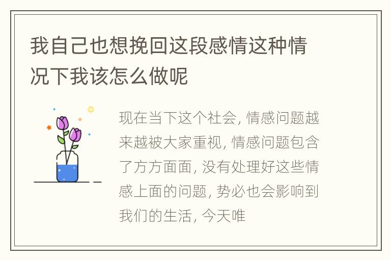 我自己也想挽回这段感情这种情况下我该怎么做呢