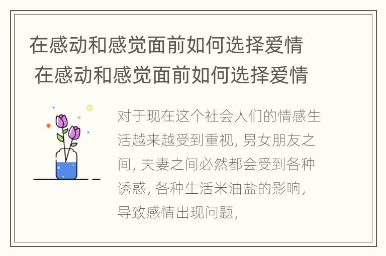 在感动和感觉面前如何选择爱情 在感动和感觉面前如何选择爱情呢