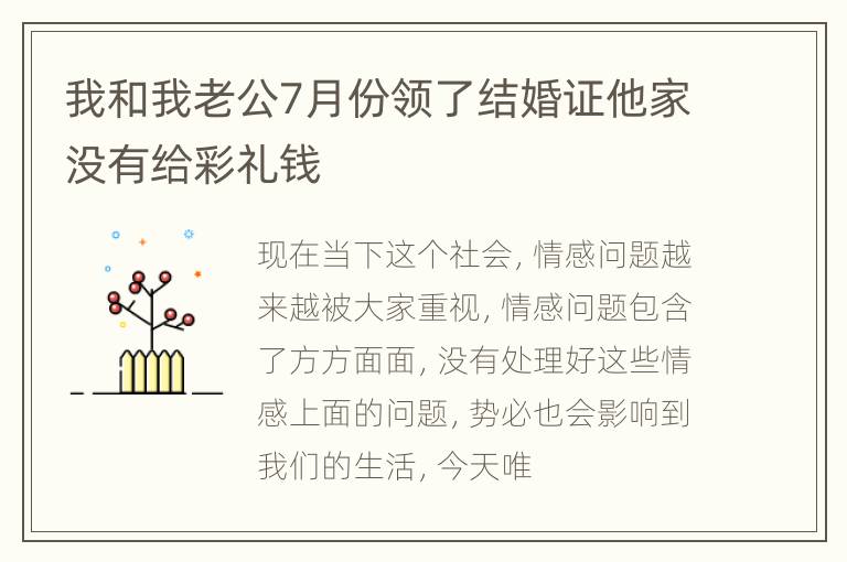 我和我老公7月份领了结婚证他家没有给彩礼钱