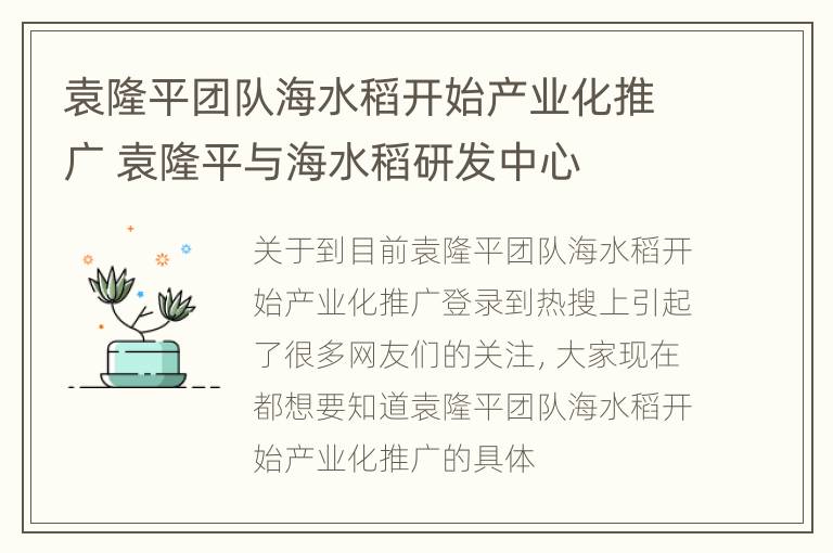 袁隆平团队海水稻开始产业化推广 袁隆平与海水稻研发中心