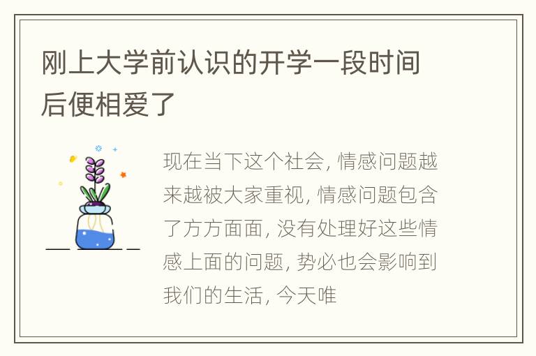 刚上大学前认识的开学一段时间后便相爱了