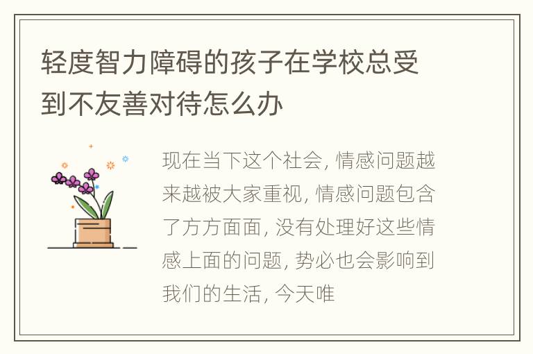 轻度智力障碍的孩子在学校总受到不友善对待怎么办