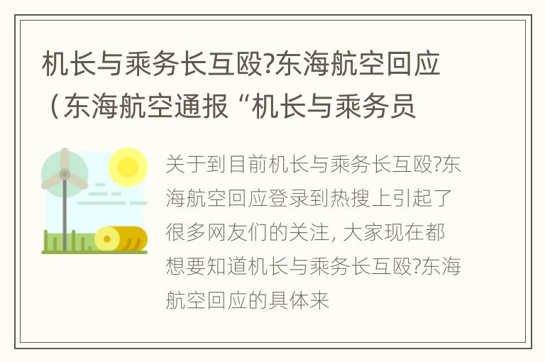 机长与乘务长互殴?东海航空回应（东海航空通报“机长与乘务员机上互殴”）