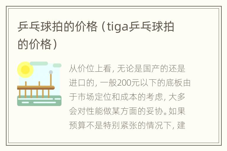 乒乓球拍的价格（tiga乒乓球拍的价格）