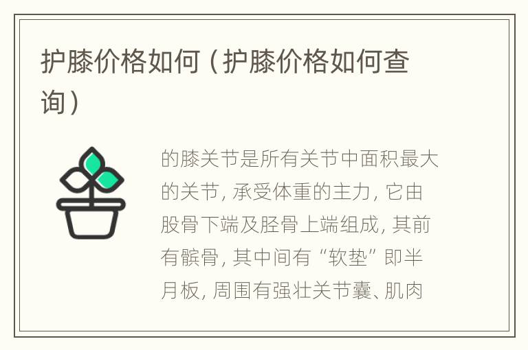 护膝价格如何（护膝价格如何查询）