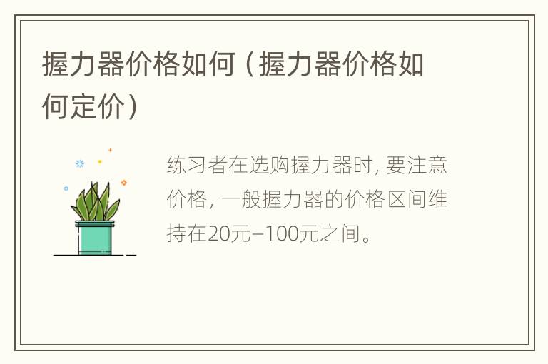 握力器价格如何（握力器价格如何定价）