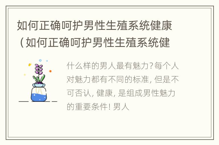 如何正确呵护男性生殖系统健康（如何正确呵护男性生殖系统健康问题）