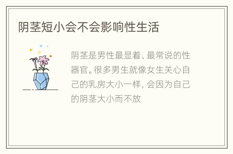 阴茎短小会不会影响性生活