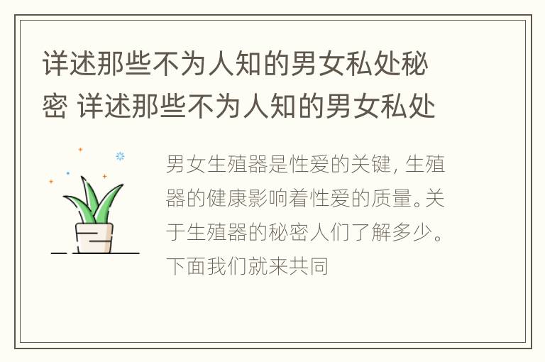 详述那些不为人知的男女私处秘密 详述那些不为人知的男女私处秘密视频