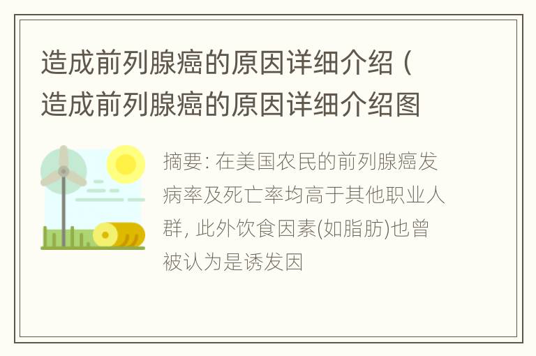 造成前列腺癌的原因详细介绍（造成前列腺癌的原因详细介绍图片）