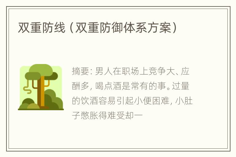 双重防线（双重防御体系方案）