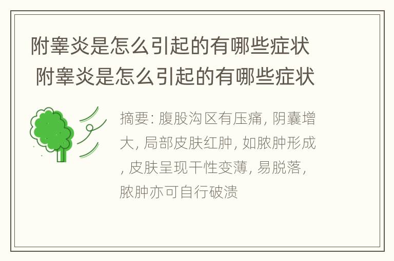 附睾炎是怎么引起的有哪些症状 附睾炎是怎么引起的有哪些症状图片