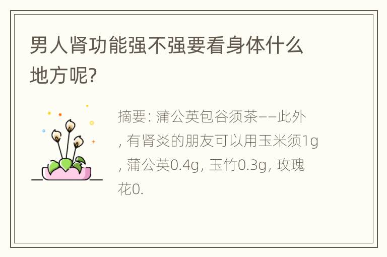 男人肾功能强不强要看身体什么地方呢？